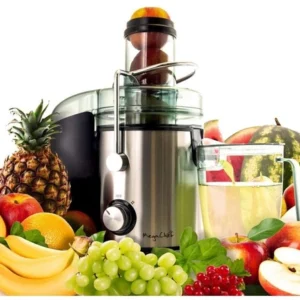 PROFESSIONAL Centrifugal Juicer Machine Electric Fruit Vegetable Juice Extractor