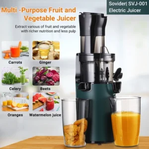 Compact Slow Juicer Machine Electric Juicer Cold Press Squeezer Vegetable 800ML